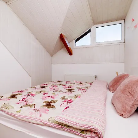 Apartment Andelic- 1 *