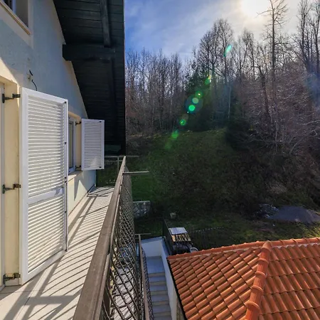 Apartment Andelic- 1