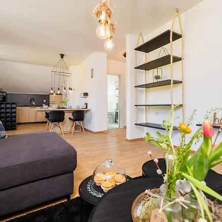 Andelic- 1 Apartment Fuzine