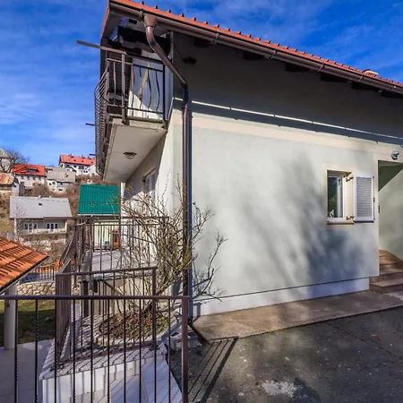 Andelic- 1 Apartment Fuzine